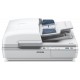 Epson WorkForce DS-7500 Color Document Scanner - Scan Speed 40ppm - Resolution 1200x1200 dpi - Flatbed Scanner